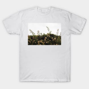 Vintage rose garden T-Shirt